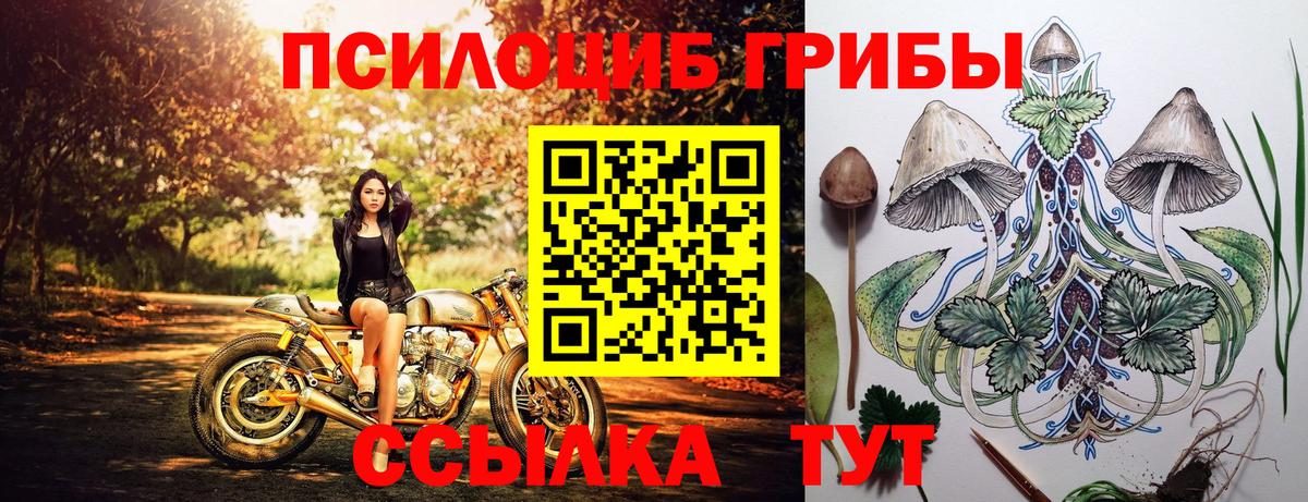 Псилоцибиновые грибы Psilocybine cubensis  Вход с VPN  купить наркотики сайты  Петрозаводск  Галлюциногенные грибы Psilocybine cubensis 
