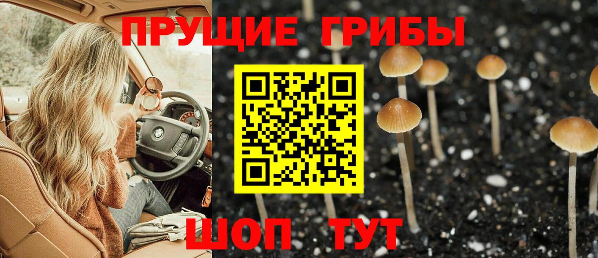 Псилоцибиновые грибы MAGIC MUSHROOMS Петрозаводск