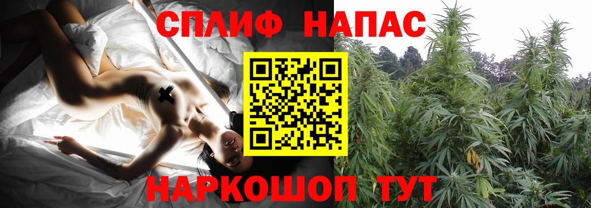 Каннабис MAZAR Петрозаводск